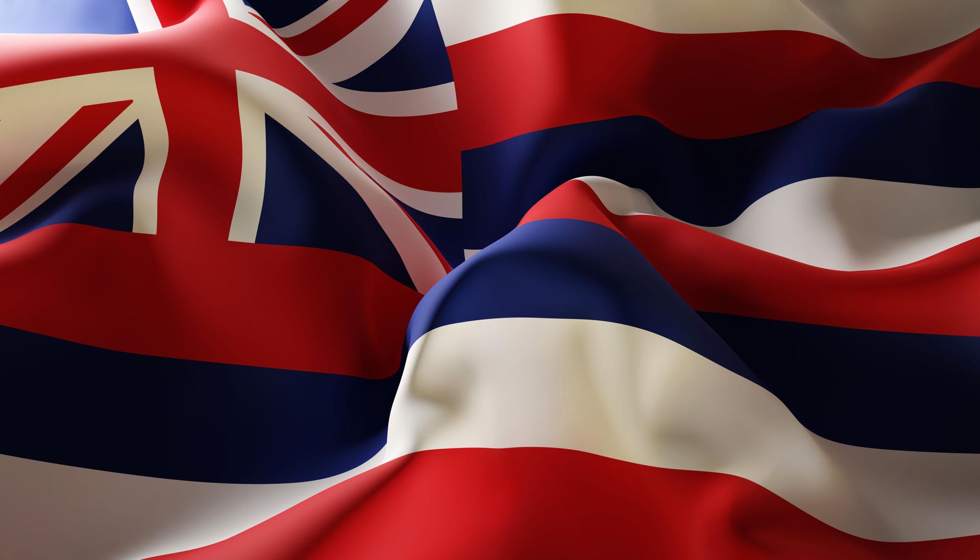 Flag of Hawaii. Close-Up. U.S. state