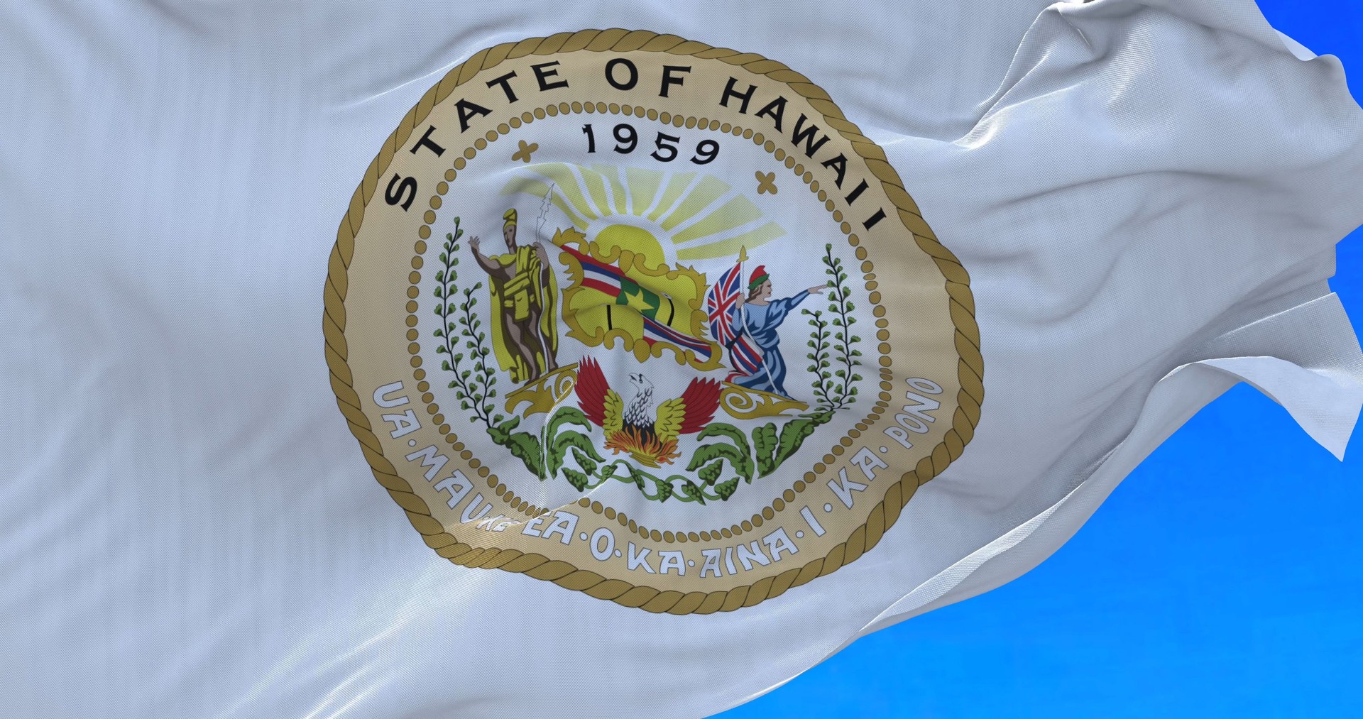 Flag of Hawaii state.